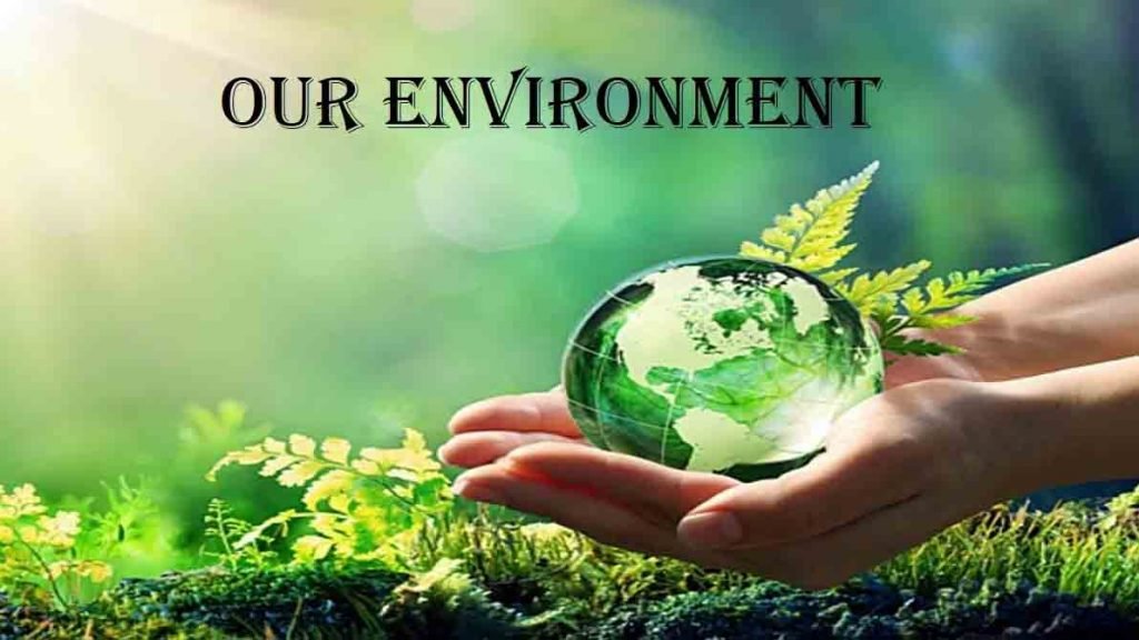 paragraph our environment